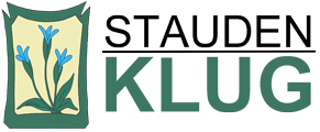 Logo Klug 4 web